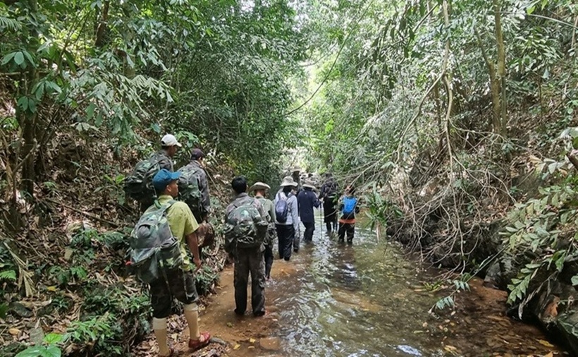 Mỗi chuyến tuần tra, lực lượng bảo vệ rừng phải băng rừng, lội suối vượt qua các con đường hiểm trở.