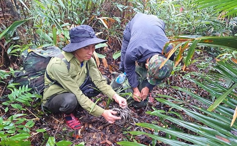 Hành trình vào rừng sâu gỡ "bẫy tử thần" giải cứu động vật hoang dã - 2