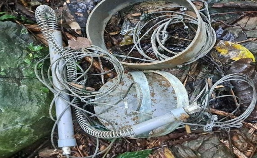 Hành trình vào rừng sâu gỡ "bẫy tử thần" giải cứu động vật hoang dã - 4