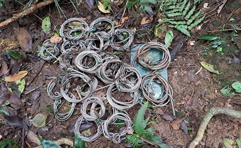 Những chiếc bẫy thú các loại được thu giữ sau các chuyến đi tuần tra, gỡ bẫy.