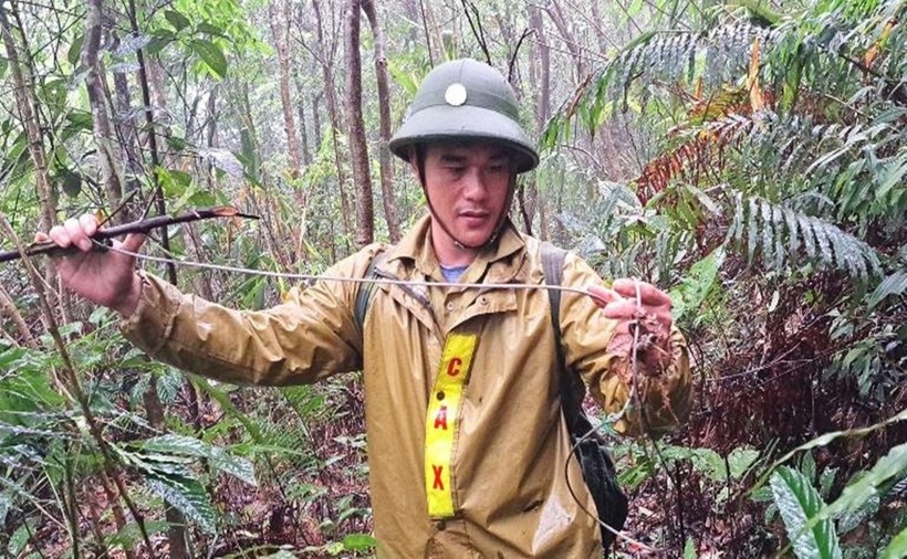 Đã có sự phối hợp chặt chẽ giữa các lực lượng liên ngành địa phương trong việc bảo vệ động vật hoang dã tại Khu dự trữ thiên nhiên Động Châu - Khe Nước Trong.