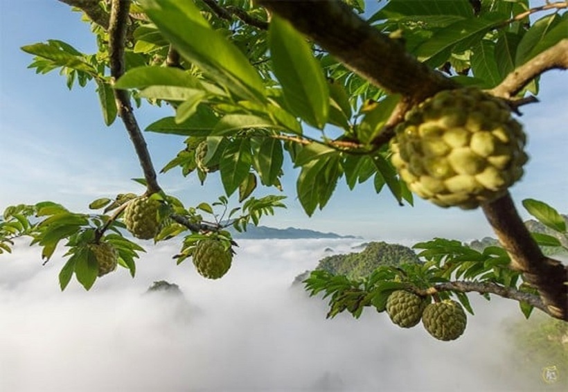 Na Chi Lăng. NSNA Bùi Thuận