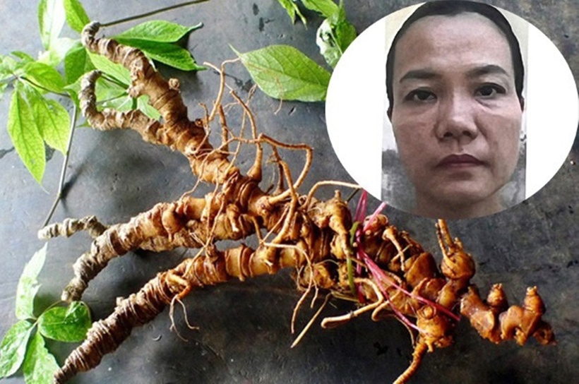 Bà An bịa chuyện cần vốn để mở nhà hàng ăn uống, kinh doanh trầm hương và sâm Ngọc Linh kiếm lời. Ảnh: Vietnamnet.
