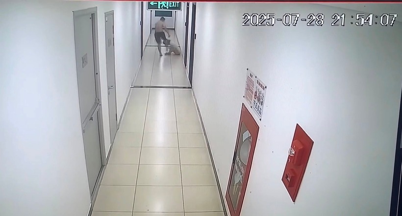 Camera an ninh tại hành lang chung cư ghi lại toàn bộ sự việc. Ảnh: Công lý
