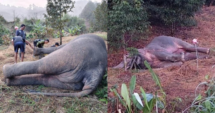 Hiện trường vụ việc.