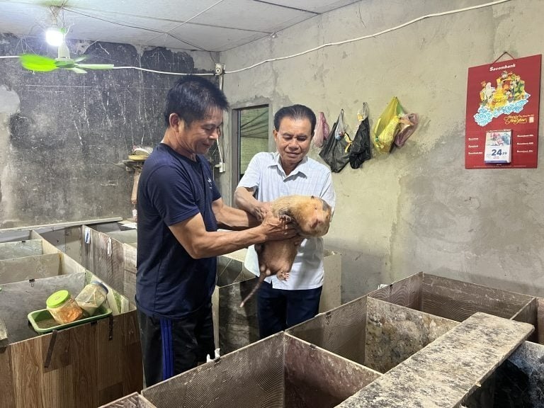 Anh Nguyễn Trọng Nga nuôi dúi Thái Lan.