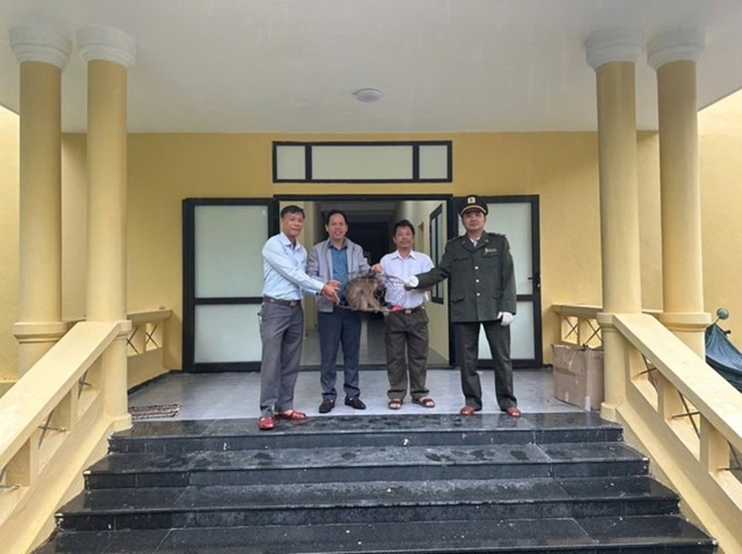 Cá thể khỉ được bàn giao để chăm sóc trước khi thả về tự nhiên. Ảnh: Sức khỏe & Đời sống