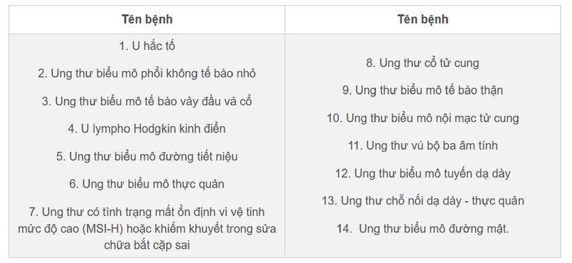 14 loại ung thư có thể dùng thuốc điều trị của Nga. Ảnh: VietNamnet