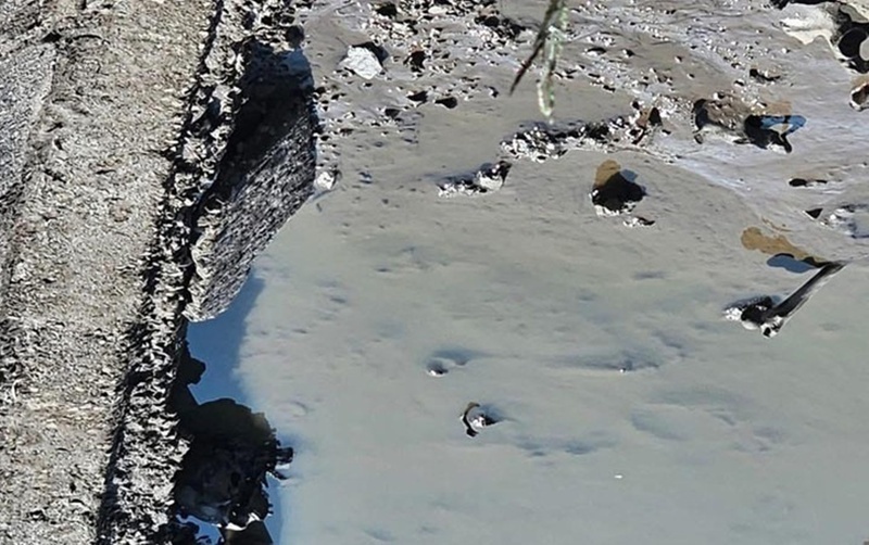 Bộ hài cốt trong ao nuôi cá của người dân ở Hải Phòng. Ảnh: VTC News.