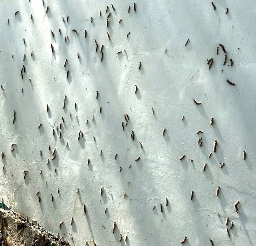 Đại diện UBND phường Phú Lợi cho biết đã nắm vụ việc, đồng thời cử cơ quan chuyên môn tiến hành các biện pháp để xử lý. (Ảnh: Tiền phong)