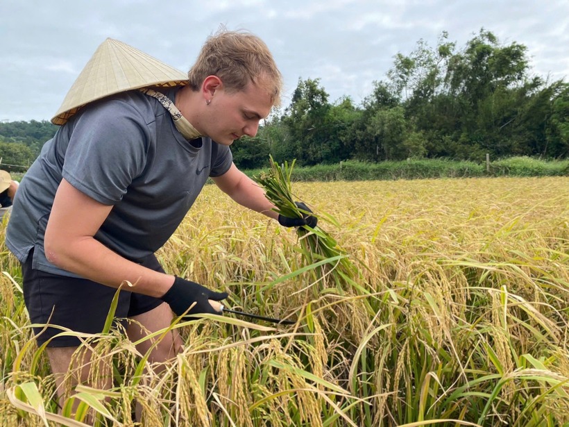 Khách Tây cười tươi như trẩy hội dù "mệt bở hơi tai" khi gặt lúa, cào ngao trên đảo ở Quảng Ninh - 2