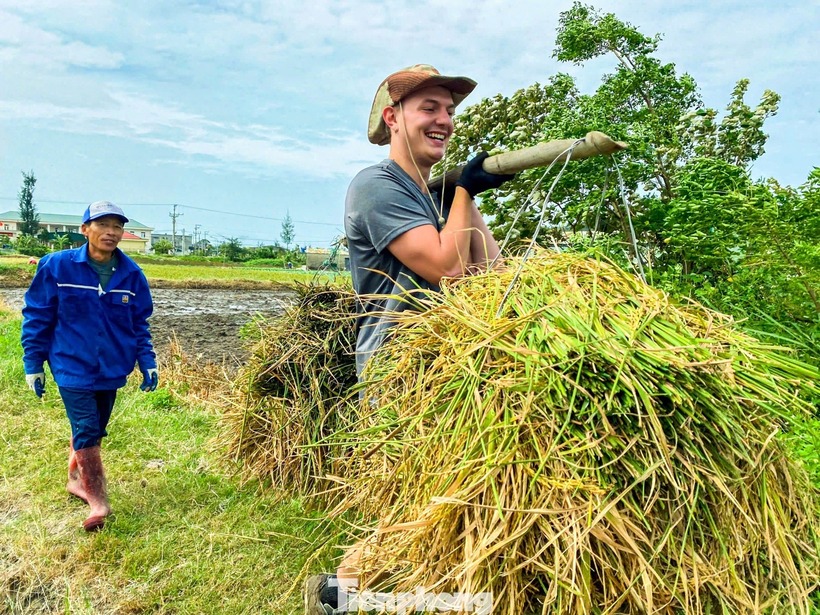 Khách Tây cười tươi như trẩy hội dù "mệt bở hơi tai" khi gặt lúa, cào ngao trên đảo ở Quảng Ninh - 1