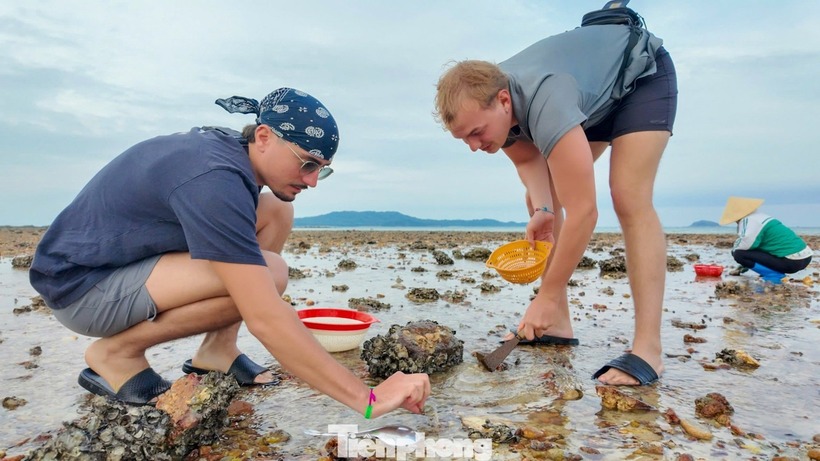 Khách Tây cười tươi như trẩy hội dù "mệt bở hơi tai" khi gặt lúa, cào ngao trên đảo ở Quảng Ninh - 4