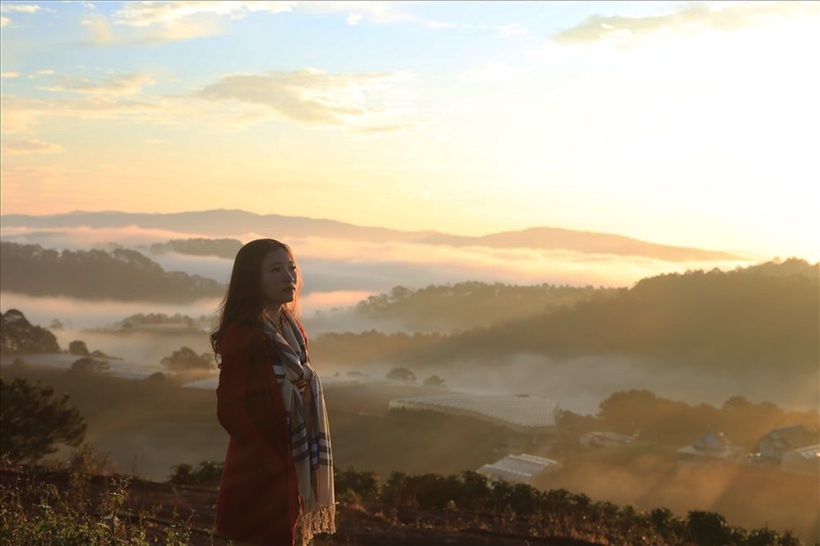 Đà Lạt, thành phố của ngàn hoa và sương mờ, luôn là điểm đến lý tưởng cho những ai tìm kiếm sự bình yên, lãng mạn và một chút se lạnh đặc trưng.