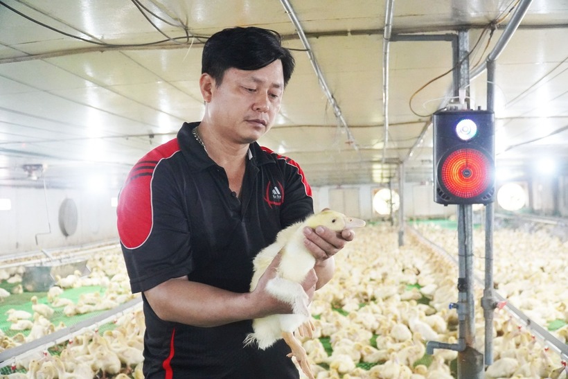 Ông Lê Xuân Nam tại trang trại vịt. Ảnh: Dân Việt