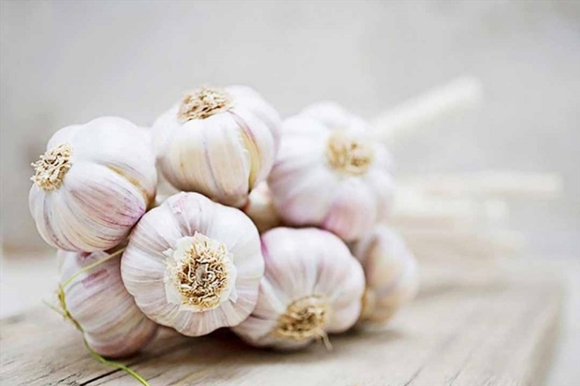 Tại sao bệnh gan dễ bùng phát vào mùa đông? - 2