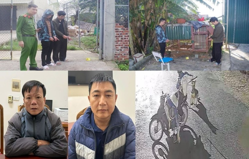 Các đối tượng trong đường dây trộm chó bị bắt giữ. Ảnh: Công an Thanh Hóa