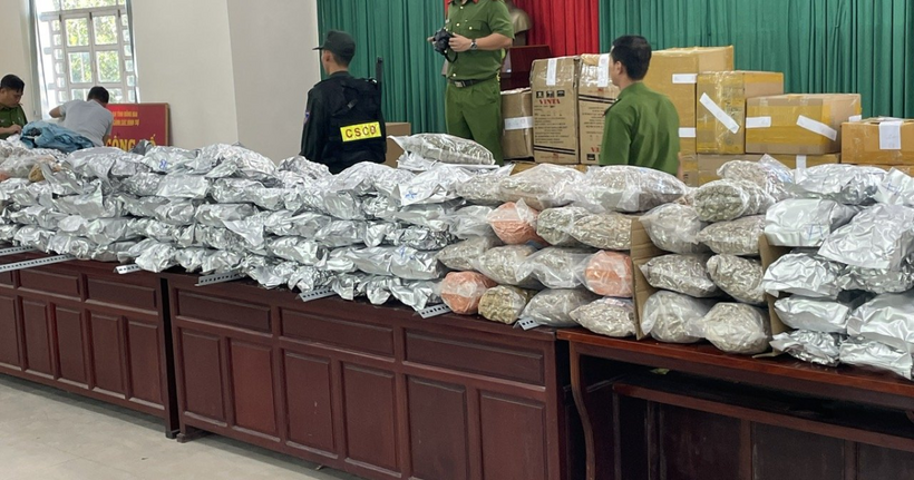 Gần 600 kg cần sa các loại bị cảnh sát thui giữ trong giai đoạn 1 của chuyên án. (Ảnh: CACC)