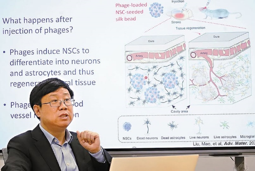 GS. Chuanbin Mao thuộc nhóm Top 2% nhà khoa học được trích dẫn nhiều nhất thế giới trong lĩnh vực kỹ thuật y sinh học. Ảnh: CUHK.