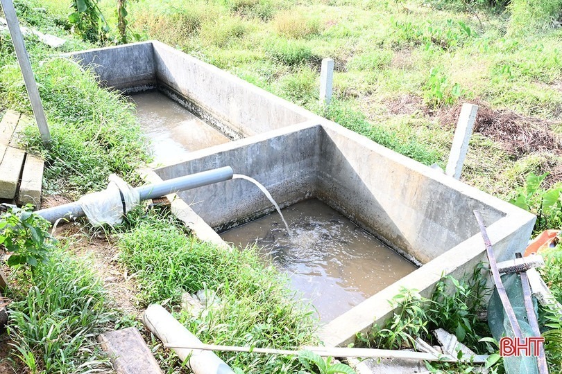 Gia đình sử dụng bể lắng, lọc nước thải (có nuôi cá để thử độ sạch) trước khi thải ra môi trường. Ảnh: Báo Hà Tĩnh