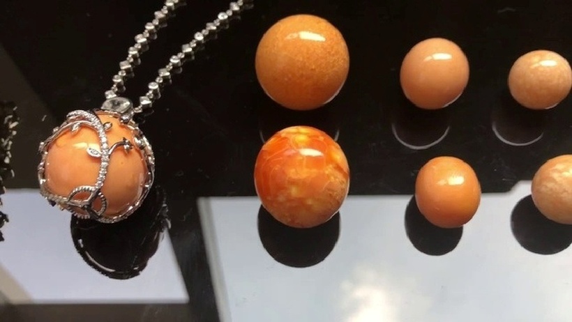 Ngọc trai Melo có nhiều màu, từ màu cam, vàng sậm đến nâu. Ảnh: Báo Dân trí.