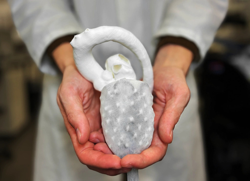 Trong sự kiện của VinFuture, PGS. Đỗ Thanh Nhỏ sẽ giới thiệu về hoạt động của “trái tim nhân tạo mềm có khả năng đập” do ông nghiên cứu. Ảnh: UNSW.