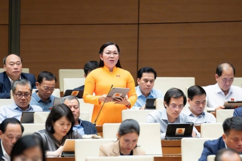 Đại biểu Lý Anh Thư (Ảnh: Media Quốc hội).