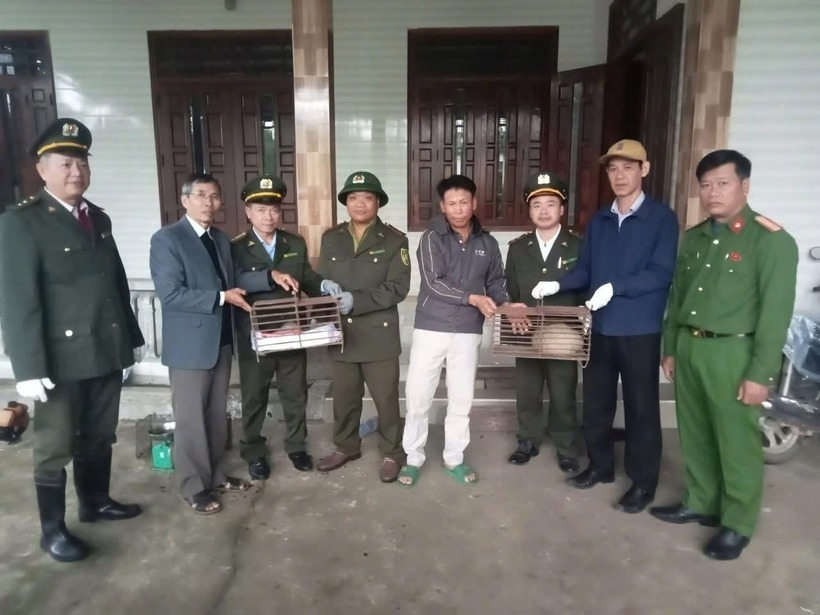 Lực lượng chức năng tiếp nhận hai cá thể tê tê Java. (Ảnh: Công lý)