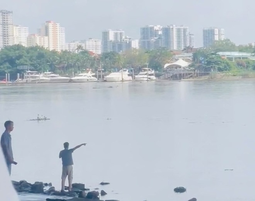 Một nhân chứng cho biết, đã hô hoán nhiều người đi trên cầu dừng xe để hỗ trợ, nhưng không kịp. Ảnh: Báo Lao động.