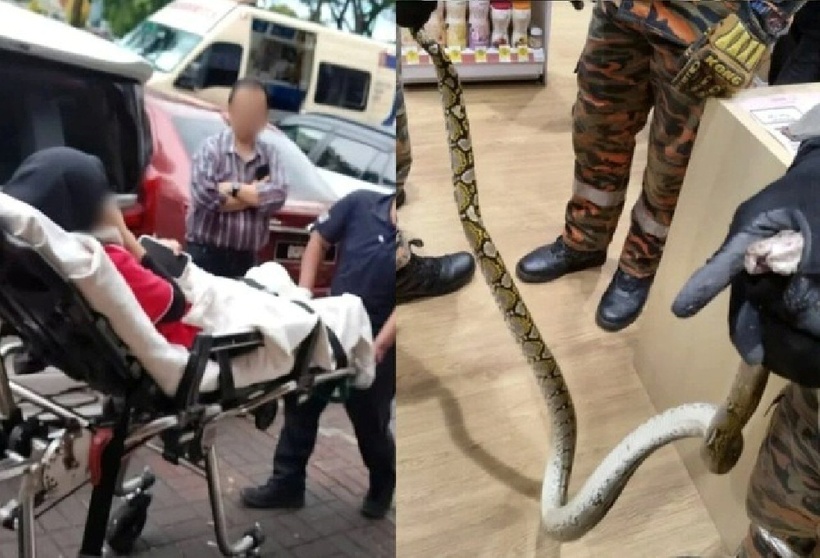 Nữ nhân viên nhà thuốc khi bị một con trăn dài khoảng 2 mét cắn vào chân trong phòng vệ sinh. Ảnh: Người đưa tin.
