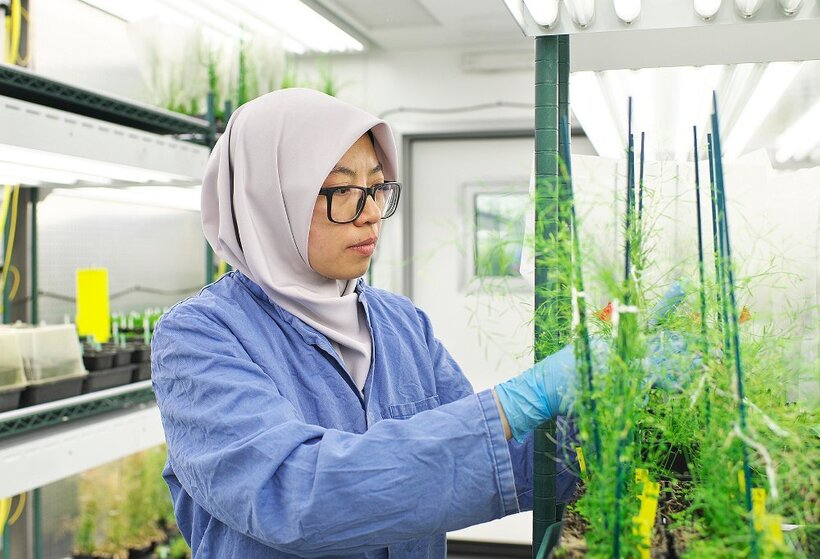 TS. Nadia Radzman sẽ mang đến những kinh nghiệm thực tiễn từ các nghiên cứu và dự án của bà trong lĩnh vực nông nghiệp và thực phẩm tại Tuần lễ Khoa học Công nghệ VinFuture năm nay. Ảnh: IE Cambridge.