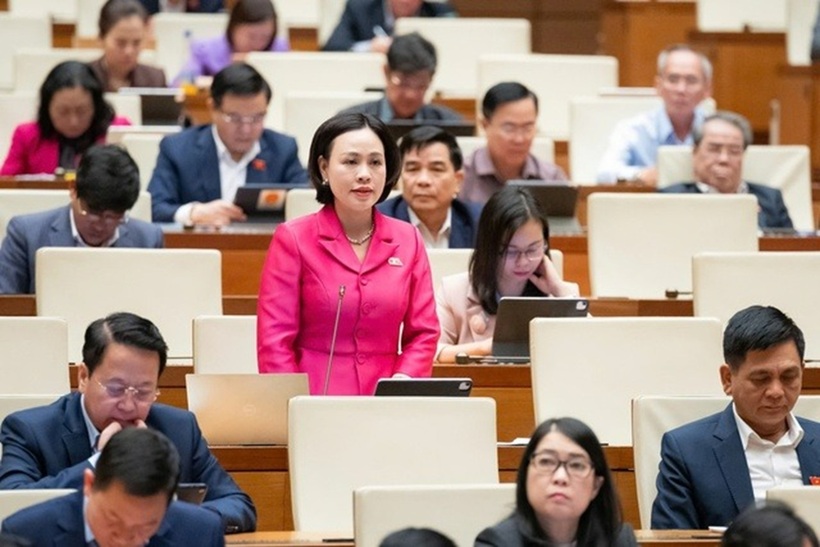 Đại biểu Trần Thị Hồng Thanh (Ảnh: Media Quốc hội).