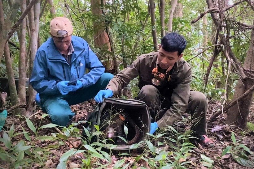 Tái thả 7 cá thể tê tê java quý hiếm về rừng. (Ảnh: VQG Cúc Phương)