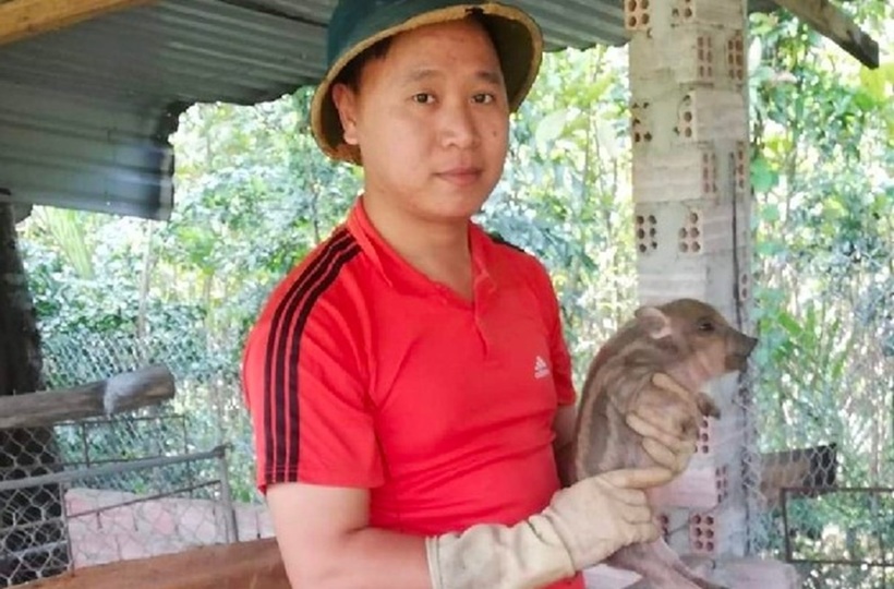 Anh Phan Như Cơ quyết định về quê khởi nghiệp với mô hình nuôi heo rừng lai. Ảnh: Thương hiệu & Sản phẩm