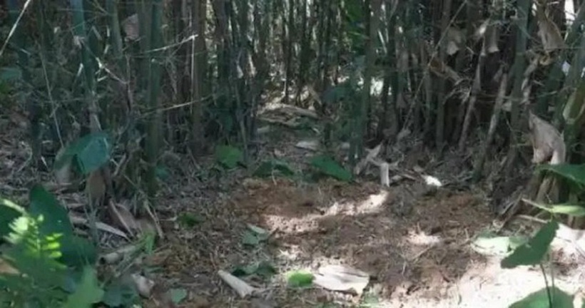 Một người dân đã phát hiện ra chiếc trống đồng nghìn năm tuổi khi đang đào giun trong một rừng tre ở làng Hà Bắc. Ảnh/Nanguo Jinbao