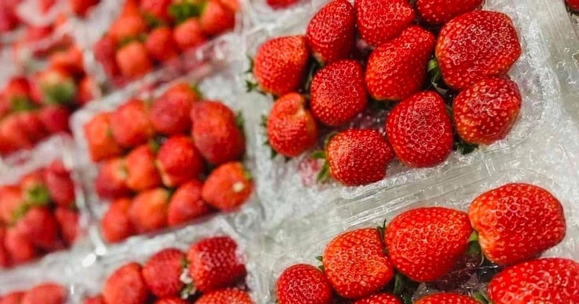 Trái cây là món quà tuyệt vời của thiên nhiên, mang đến những giải pháp tự nhiên và thơm ngon để kiểm soát mức mỡ máu.