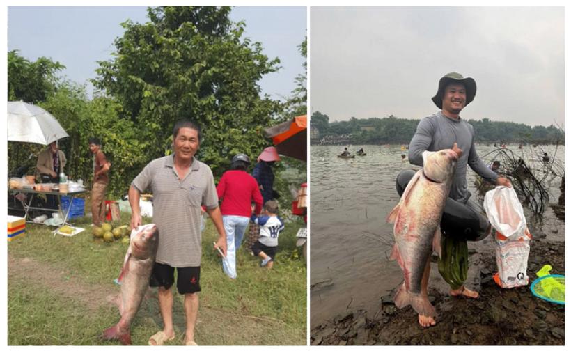 Kích thước cá lớn thu hút đông đảo người dân đánh bắt. Ảnh: ZNews