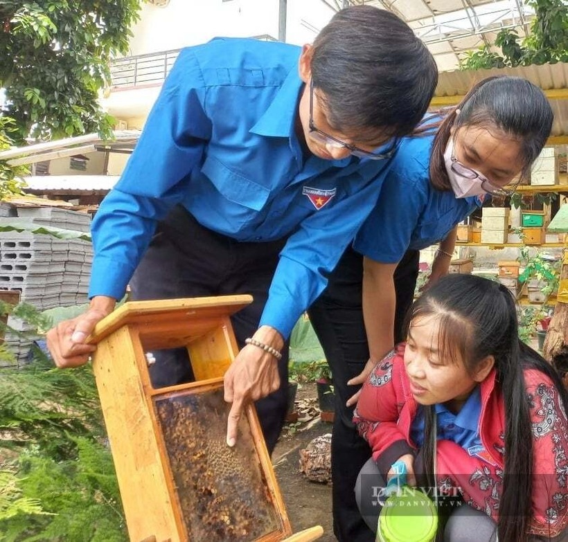 Anh Trực đang hướng dẫn khách tham quan quy trình nuôi ong dú lấy mật. Ảnh: Dân Việt