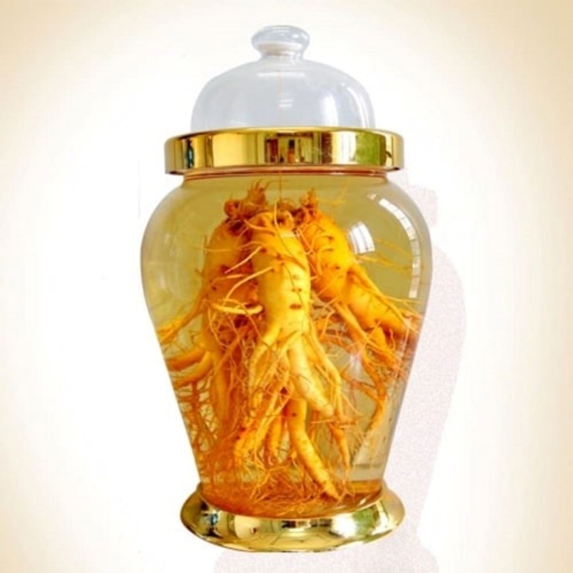 Sau khoảng 30 ngày, khi rượu thuốc chuyển sang màu vàng là có thể dùng được. Ảnh minh họa.