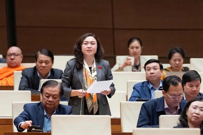 ĐBQH Đặng Bích Ngọc (Ảnh: Media Quốc hội).