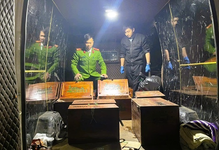 Công an tỉnh Cao Bằng bàn giao 12 con tê tê Java quý hiếm cho Vườn quốc gia Cúc Phương để chăm sóc, bảo tồn. Ảnh: Người lao động