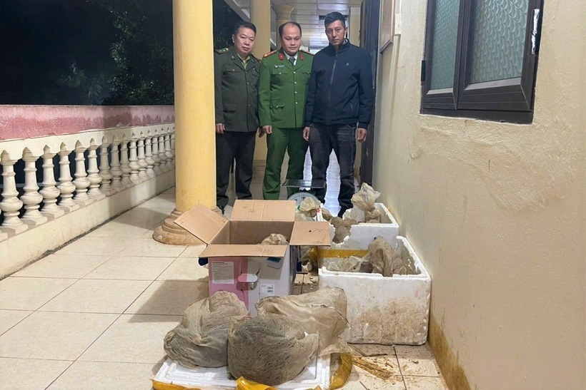 Công an phát hiện bên trong 2 thùng xốp dán kín có 12 cá thể tê tê java còn sống. Ảnh: Dân trí