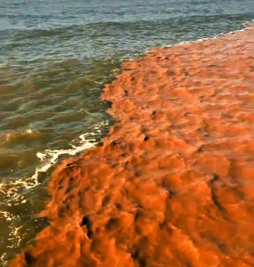 Hiện tượng "lạ" ở biển Cà Mau: Nước có màu xanh và nâu đỏ, kéo dài hàng chục km. Ảnh: Tuổi Trẻ