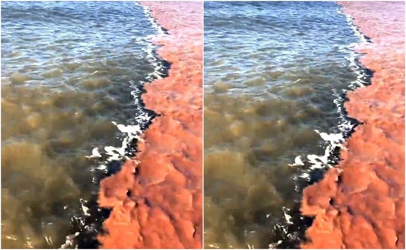 Dải nước 2 màu rõ rệt ven biển Tây Cà Mau, một bên là nước biển xanh đục, bên còn lại mang sắc nâu đỏ đặc trưng của nước ngọt từ nội đồng đổ ra, tạo nên ranh giới tự nhiên kéo dài nhiều km. (Ảnh: VNE)