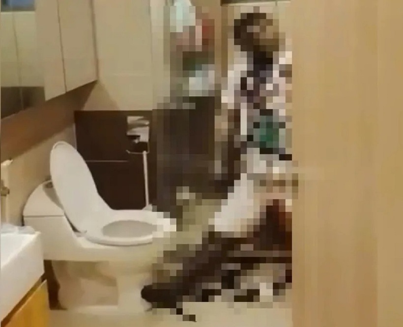 Hiện trường vụ việc. Ảnh: Pháp luật TP.HCM