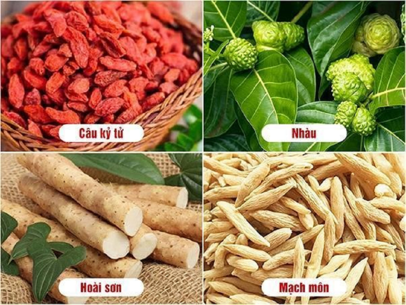 Nhiều thảo dược đã được chứng minh có tác dụng phòng ngừa biến chứng trên gan cho người bệnh tiểu đường