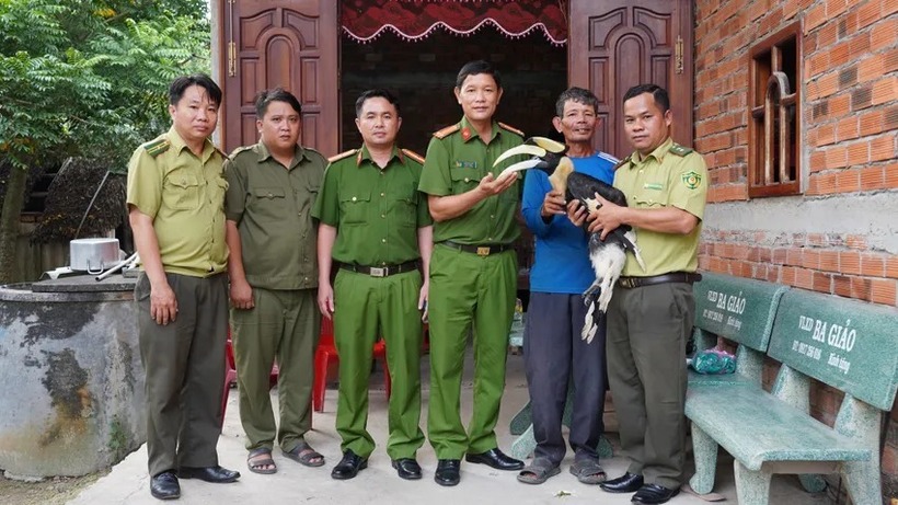 Qua kiểm tra ban đầu, chim còn khỏe mạnh, nặng khoảng 2,5 kg, không có dấu hiệu bị thương hay bị tác động từ con người. Ảnh: Pháp luật TP.HCM