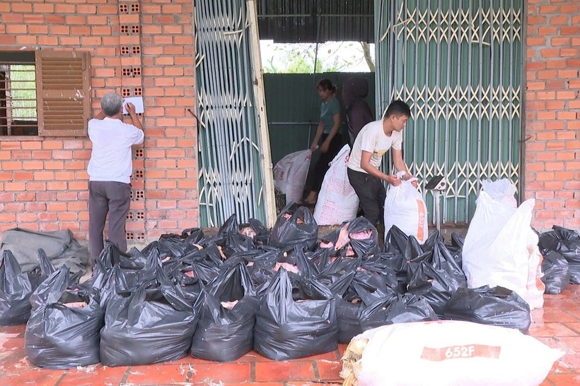 Phát hiện hơn 2.000 kg vịt chết bốc mùi hôi thối tại nhà dân ở TP.HCM. Ảnh: Báo Dân trí.