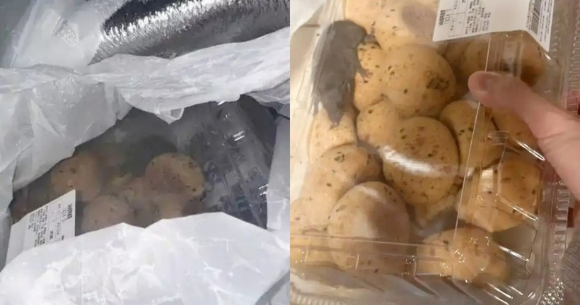Sự xuất hiện của chuột bên trong hộp bánh ngọt cao cấp khiến người mua sợ run người. Ảnh: Jimu News