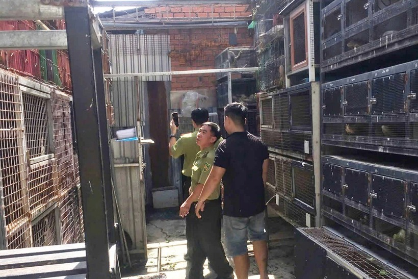 Lực lượng kiểm lâm kiểm tra điểm nuôi nhốt rồng ở xã Nhà Bè. Ảnh: Dân Trí